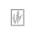 Picture of Whimsy Botanical I  _GroupedProduct_Rectangle_Portrait_Canvas_Framed_