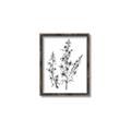 Picture of Whimsy Botanical I  _GroupedProduct_Rectangle_Portrait_Canvas_Framed_