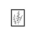 Picture of Whimsy Botanical I  _GroupedProduct_Rectangle_Portrait_Canvas_Framed_