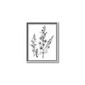 Picture of Whimsy Botanical I  _GroupedProduct_Rectangle_Portrait_Canvas_Framed_