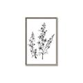 Picture of Whimsy Botanical I  _GroupedProduct_Rectangle_Portrait_Canvas_Framed_