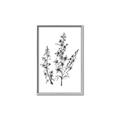 Picture of Whimsy Botanical I  _GroupedProduct_Rectangle_Portrait_Canvas_Framed_