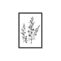 Picture of Whimsy Botanical I  _GroupedProduct_Rectangle_Portrait_Canvas_Framed_