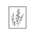 Picture of Whimsy Botanical I  _GroupedProduct_Rectangle_Portrait_Canvas_Framed_