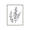 Picture of Whimsy Botanical I  _GroupedProduct_Rectangle_Portrait_Canvas_Framed_