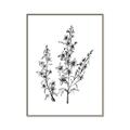 Picture of Whimsy Botanical I  _GroupedProduct_Rectangle_Portrait_Canvas_Framed_