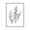 Picture of Whimsy Botanical I  _GroupedProduct_Rectangle_Portrait_Canvas_Framed_