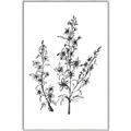 Picture of Whimsy Botanical I  _GroupedProduct_Rectangle_Portrait_Canvas_Framed_
