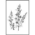 Picture of Whimsy Botanical I  _GroupedProduct_Rectangle_Portrait_Canvas_Framed_