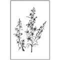 Picture of Whimsy Botanical I  _GroupedProduct_Rectangle_Portrait_Canvas_Framed_