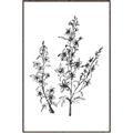 Picture of Whimsy Botanical I  _GroupedProduct_Rectangle_Portrait_Canvas_Framed_