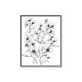 Picture of Whimsy Botanical II  _GroupedProduct_Rectangle_Portrait_Canvas_Framed_