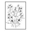 Picture of Whimsy Botanical II  _GroupedProduct_Rectangle_Portrait_Canvas_Framed_