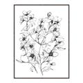 Picture of Whimsy Botanical II  _GroupedProduct_Rectangle_Portrait_Canvas_Framed_