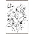 Picture of Whimsy Botanical II  _GroupedProduct_Rectangle_Portrait_Canvas_Framed_