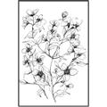 Picture of Whimsy Botanical II  _GroupedProduct_Rectangle_Portrait_Canvas_Framed_