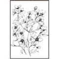 Picture of Whimsy Botanical II  _GroupedProduct_Rectangle_Portrait_Canvas_Framed_