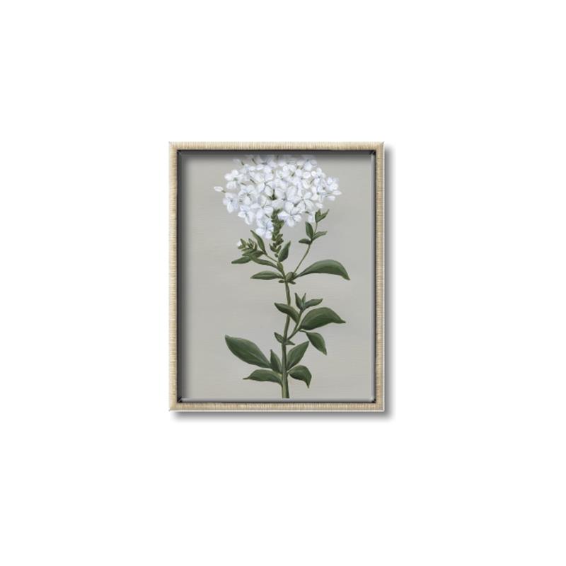 Picture of White flower I  _GroupedProduct_Rectangle_Portrait_Canvas_Framed_