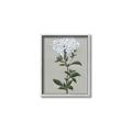 Picture of White flower I  _GroupedProduct_Rectangle_Portrait_Canvas_Framed_