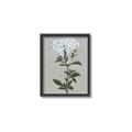 Picture of White flower I  _GroupedProduct_Rectangle_Portrait_Canvas_Framed_