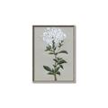 Picture of White flower I  _GroupedProduct_Rectangle_Portrait_Canvas_Framed_