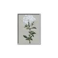 Picture of White flower I  _GroupedProduct_Rectangle_Portrait_Canvas_Framed_