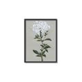Picture of White flower I  _GroupedProduct_Rectangle_Portrait_Canvas_Framed_