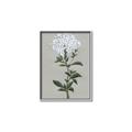Picture of White flower I  _GroupedProduct_Rectangle_Portrait_Canvas_Framed_