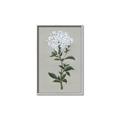 Picture of White flower I  _GroupedProduct_Rectangle_Portrait_Canvas_Framed_