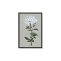 Picture of White flower I  _GroupedProduct_Rectangle_Portrait_Canvas_Framed_