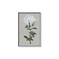 Picture of White flower I  _GroupedProduct_Rectangle_Portrait_Canvas_Framed_