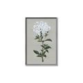 Picture of White flower I  _GroupedProduct_Rectangle_Portrait_Canvas_Framed_