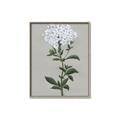 Picture of White flower I  _GroupedProduct_Rectangle_Portrait_Canvas_Framed_