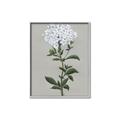 Picture of White flower I  _GroupedProduct_Rectangle_Portrait_Canvas_Framed_