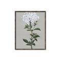 Picture of White flower I  _GroupedProduct_Rectangle_Portrait_Canvas_Framed_