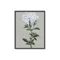 Picture of White flower I  _GroupedProduct_Rectangle_Portrait_Canvas_Framed_