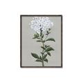 Picture of White flower I  _GroupedProduct_Rectangle_Portrait_Canvas_Framed_