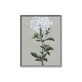 Picture of White flower I  _GroupedProduct_Rectangle_Portrait_Canvas_Framed_