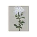 Picture of White flower I  _GroupedProduct_Rectangle_Portrait_Canvas_Framed_