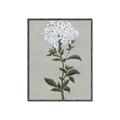 Picture of White flower I  _GroupedProduct_Rectangle_Portrait_Canvas_Framed_