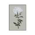 Picture of White flower I  _GroupedProduct_Rectangle_Portrait_Canvas_Framed_