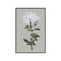 Picture of White flower I  _GroupedProduct_Rectangle_Portrait_Canvas_Framed_
