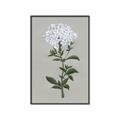 Picture of White flower I  _GroupedProduct_Rectangle_Portrait_Canvas_Framed_