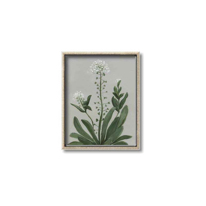 Picture of White flower II  _GroupedProduct_Rectangle_Portrait_Canvas_Framed_