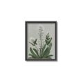 Picture of White flower II  _GroupedProduct_Rectangle_Portrait_Canvas_Framed_