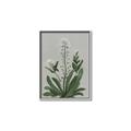 Picture of White flower II  _GroupedProduct_Rectangle_Portrait_Canvas_Framed_