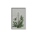Picture of White flower II  _GroupedProduct_Rectangle_Portrait_Canvas_Framed_