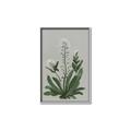 Picture of White flower II  _GroupedProduct_Rectangle_Portrait_Canvas_Framed_