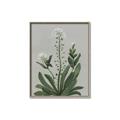 Picture of White flower II  _GroupedProduct_Rectangle_Portrait_Canvas_Framed_