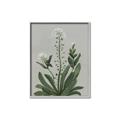 Picture of White flower II  _GroupedProduct_Rectangle_Portrait_Canvas_Framed_